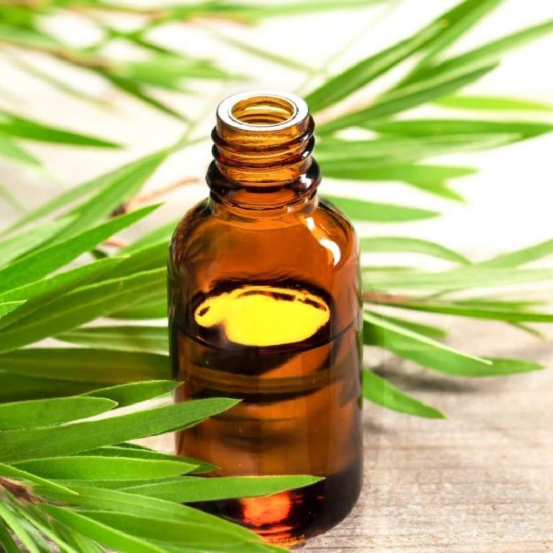 Tea Tree Oil